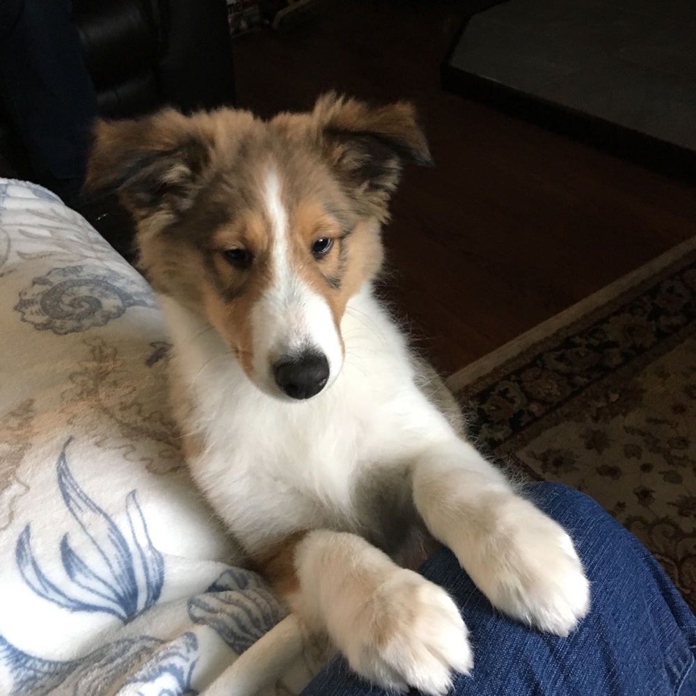 Meet your Posher, Elizabeth